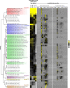 Figure 2.