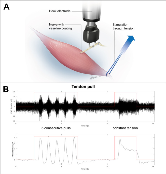 Fig. 10