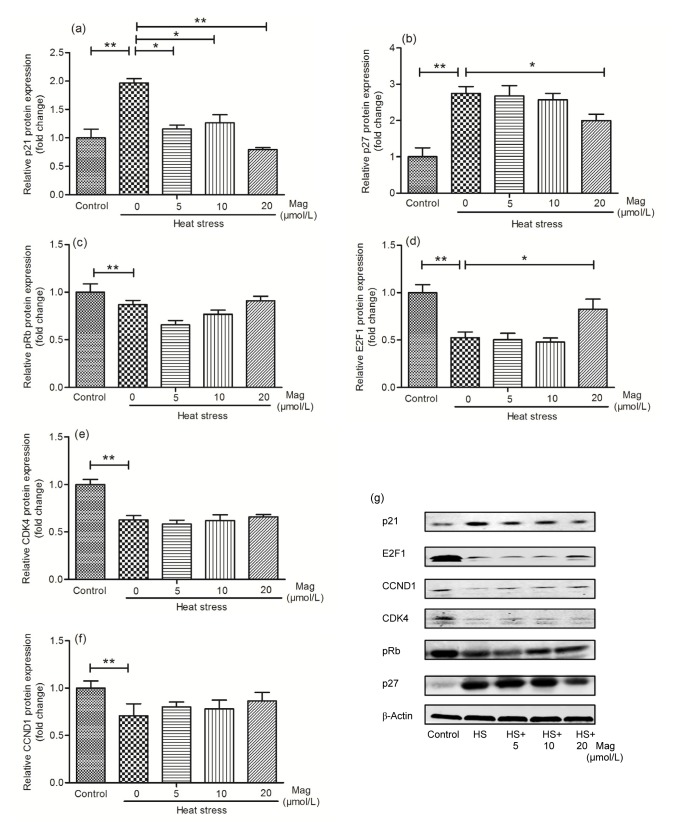 Fig. 9