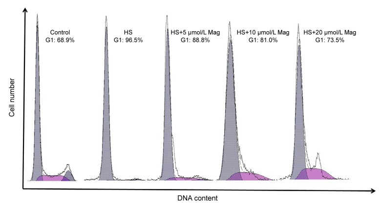 Fig. 6