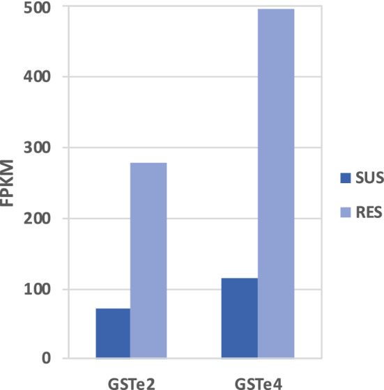 Figure 7