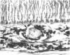 224