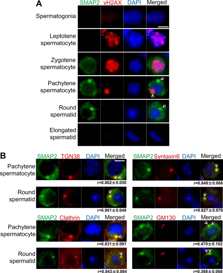 FIGURE 3: