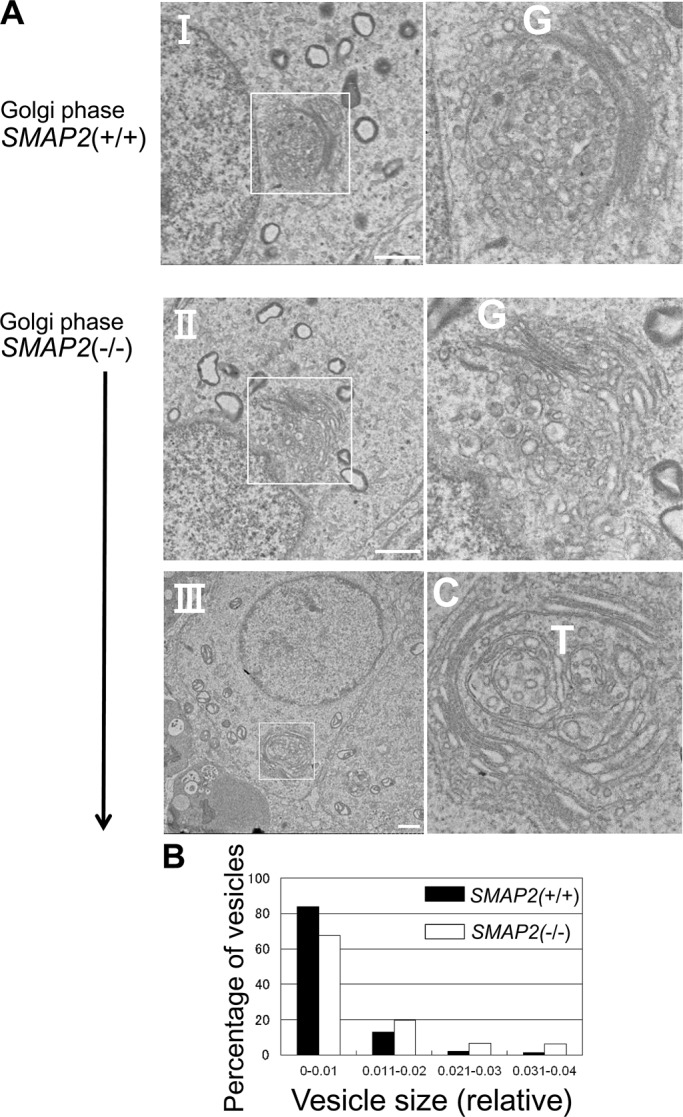 FIGURE 5: