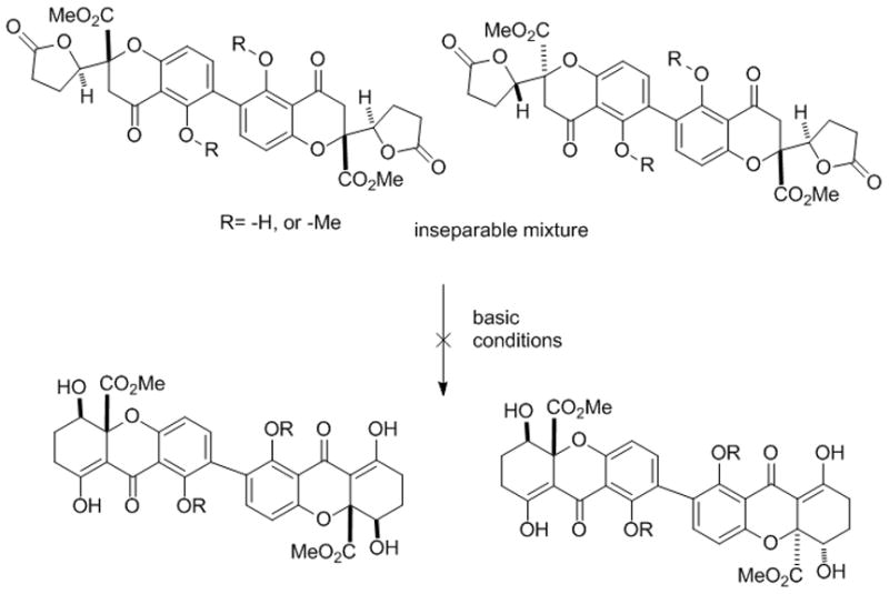 Scheme 2