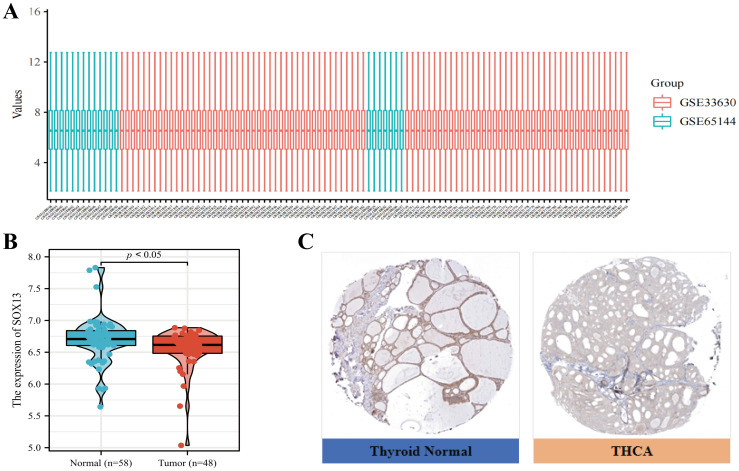 Figure 2