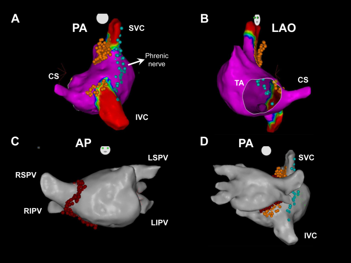 Figure 3
