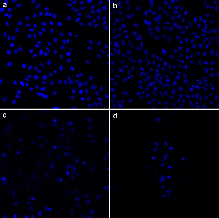 Fig. 4