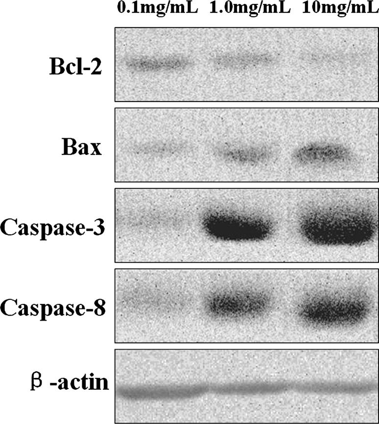 Fig. 6