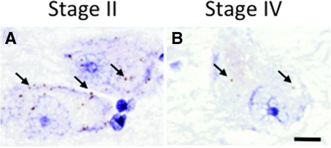 FIG. 5.