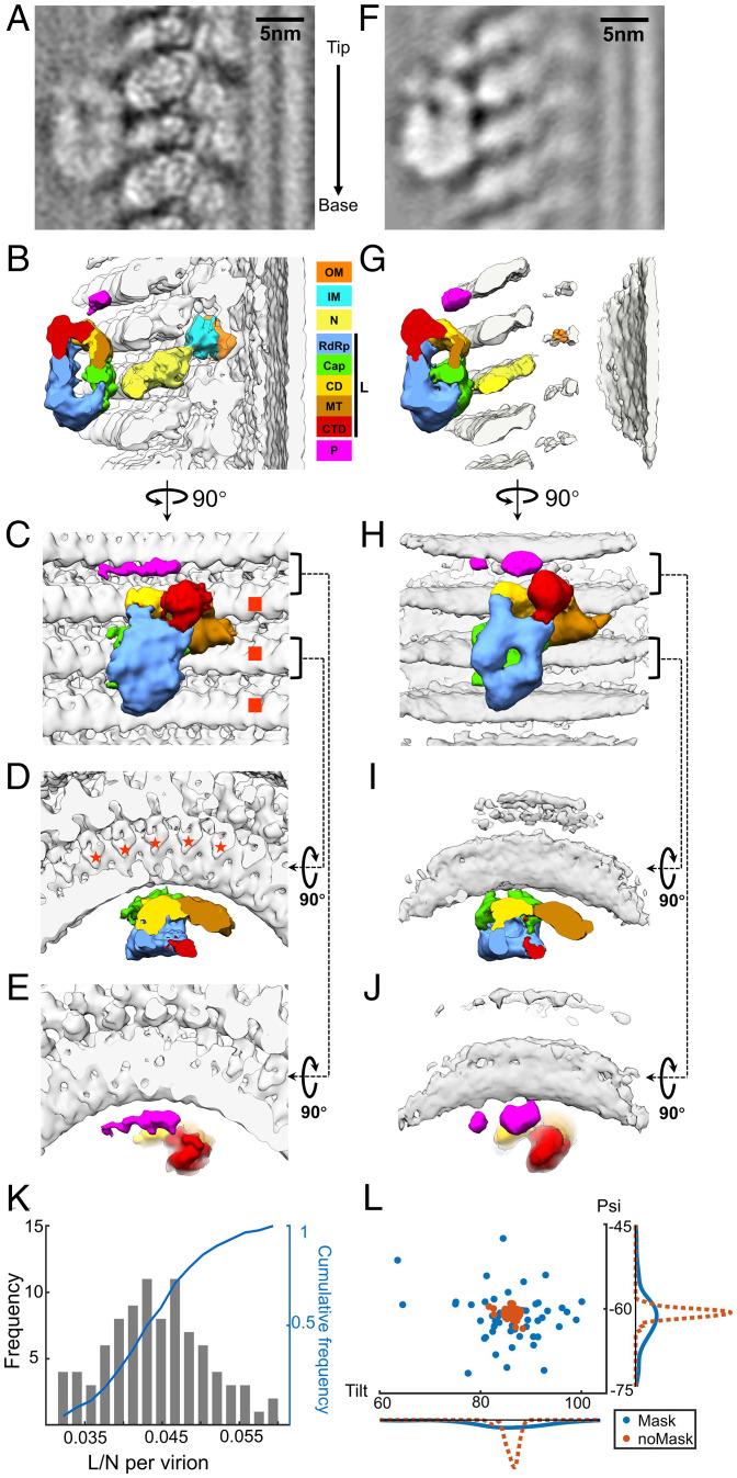 Fig. 3.