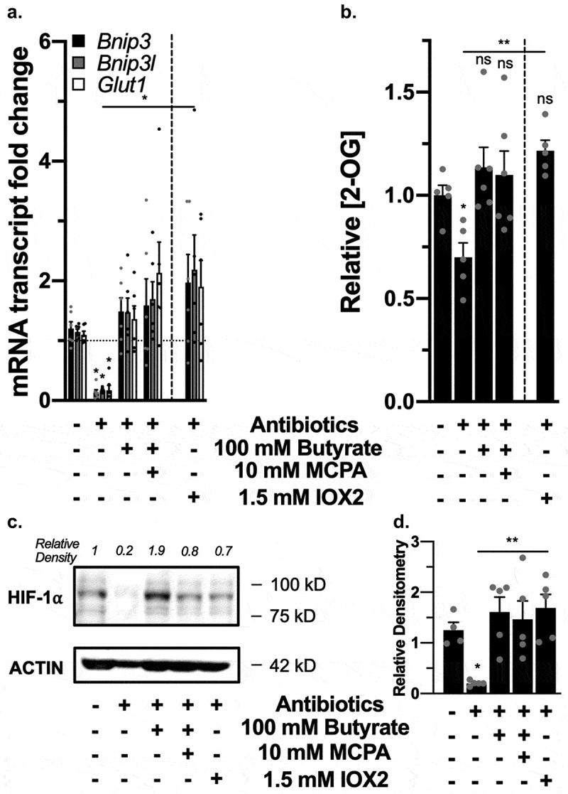 Figure 9.