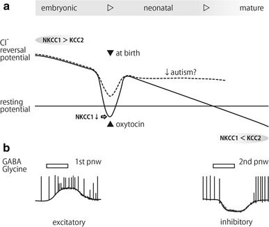 Fig. 4