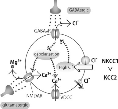 Fig. 2