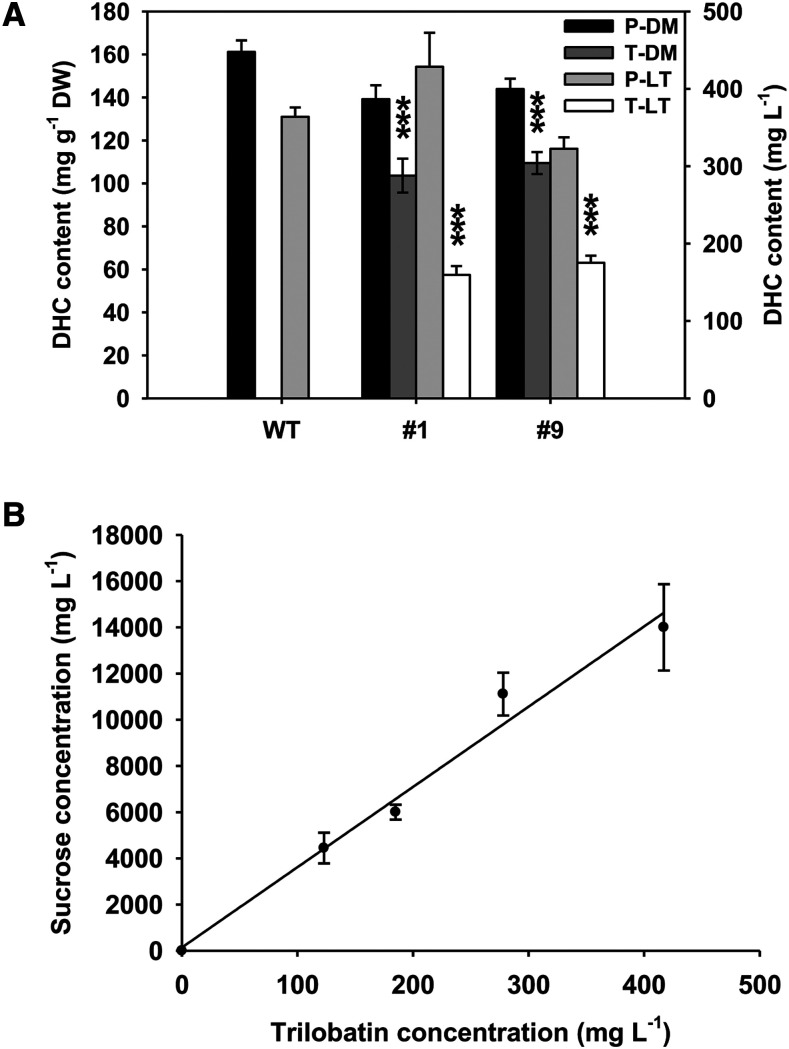 Figure 9.