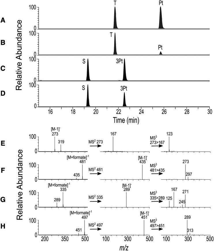 Figure 4.