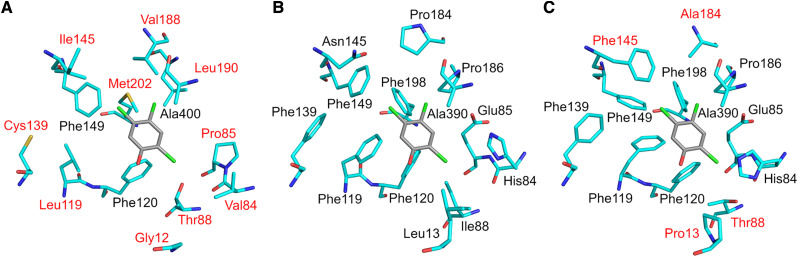 Figure 5.