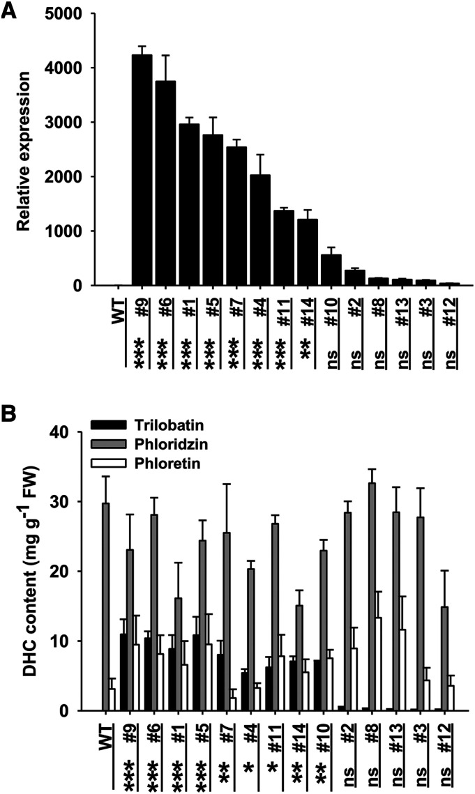 Figure 7.