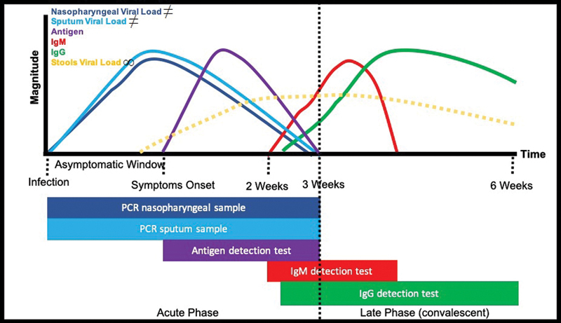 Fig. 1 Severe acute respiratory syndrome coronavirus 2 natural evolution and diagnosis tests.