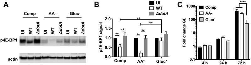 FIG 8