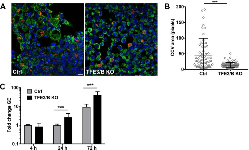 FIG 6