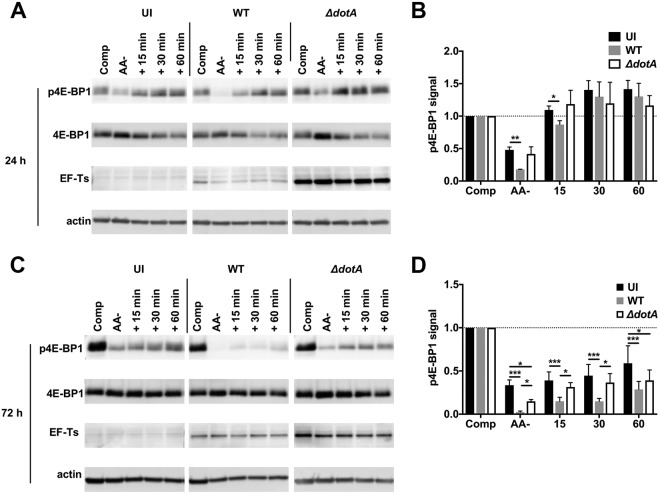 FIG 3