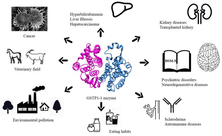 Figure 12