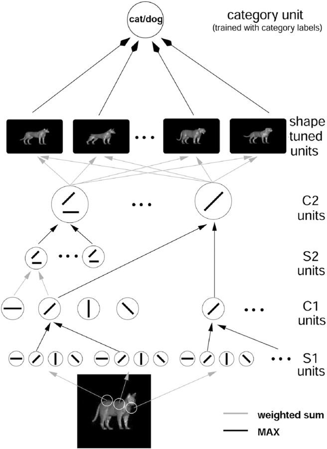 Figure 7.