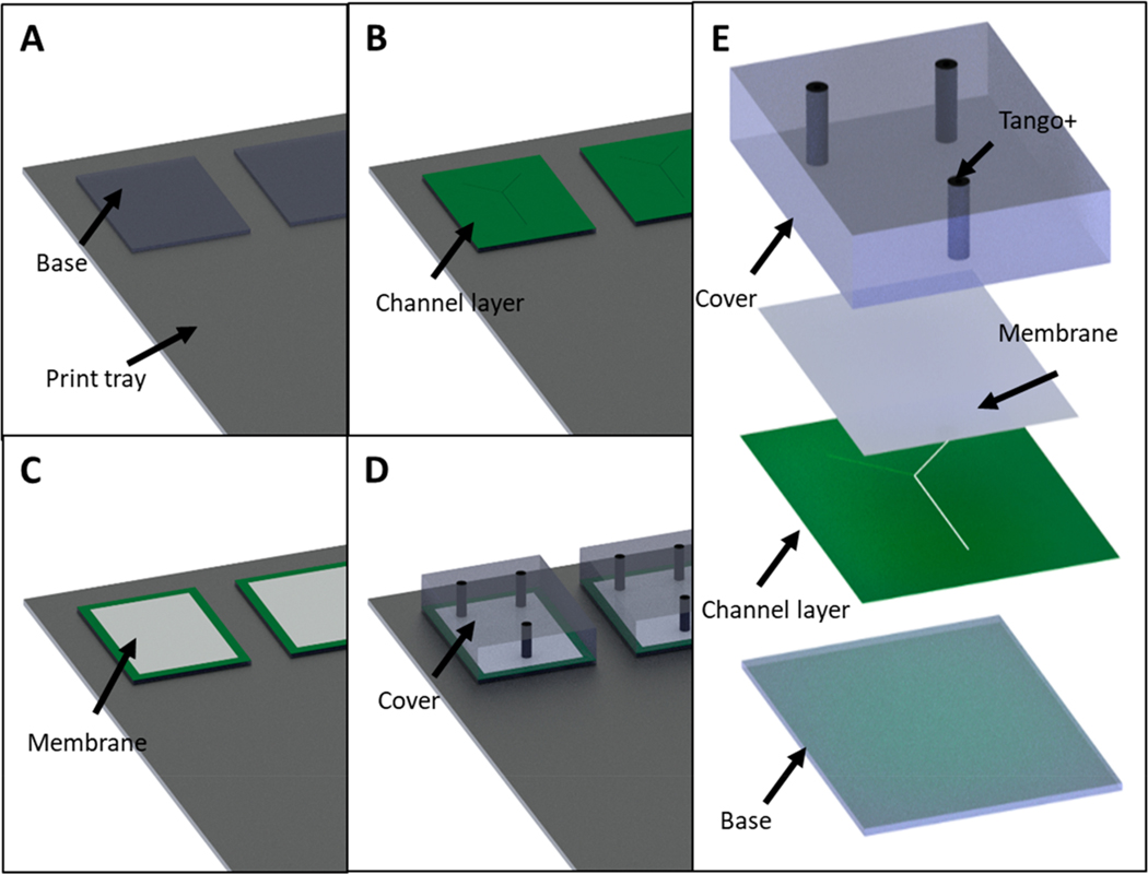 Figure 5.