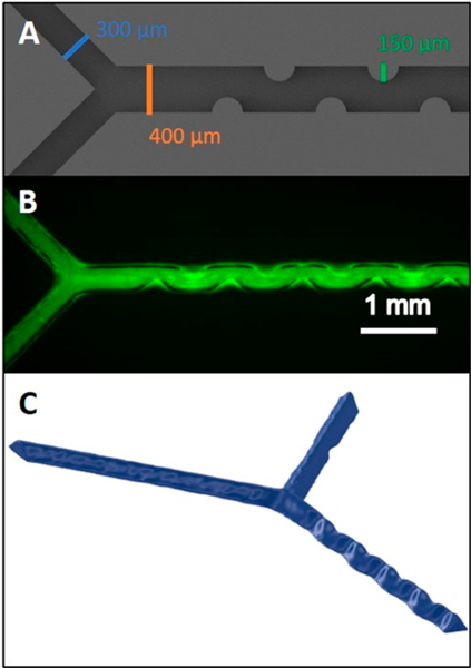 Figure 3.