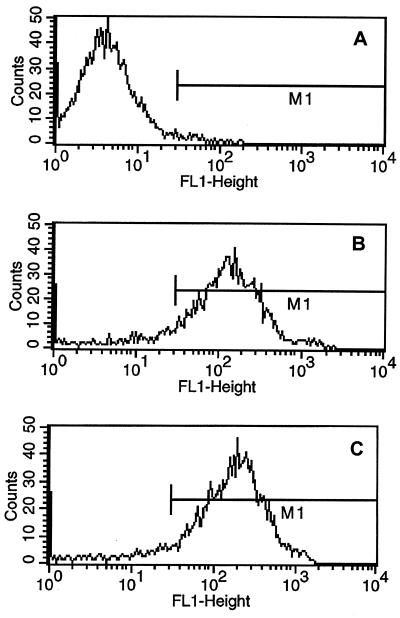 FIG. 3