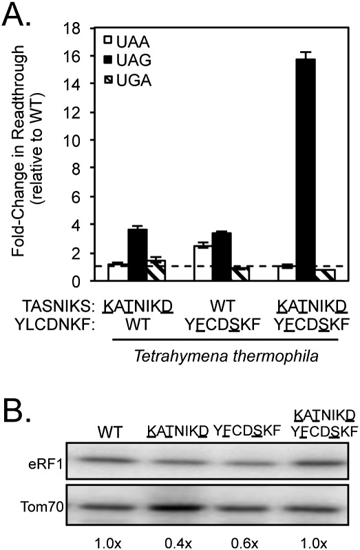 FIGURE 4.