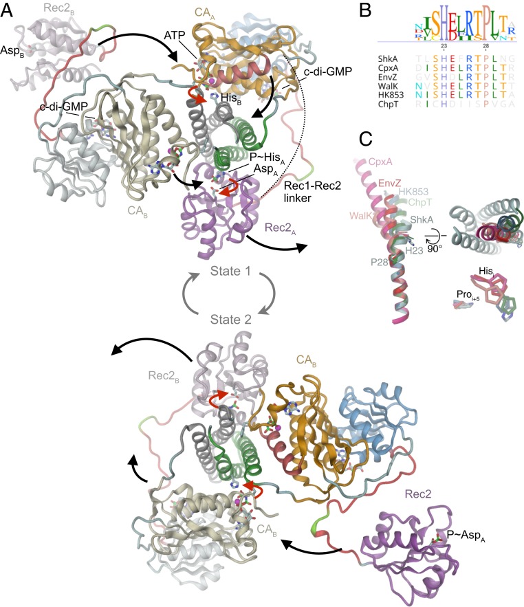 Fig. 7.