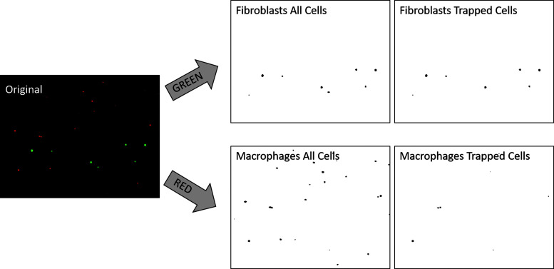 FIG. 2.