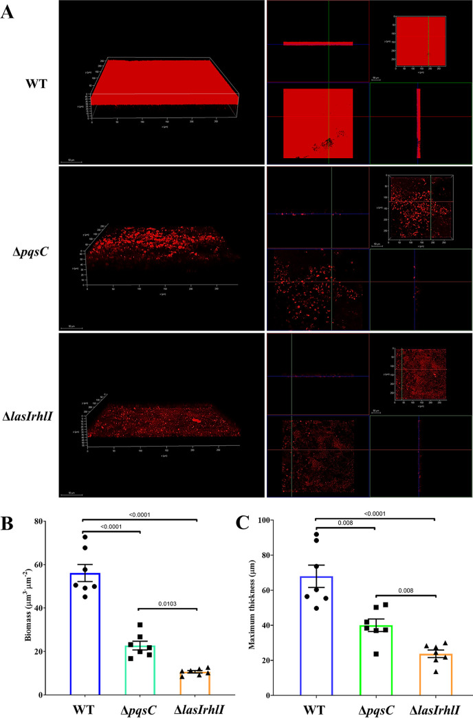 FIG 4