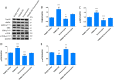 Fig. 18