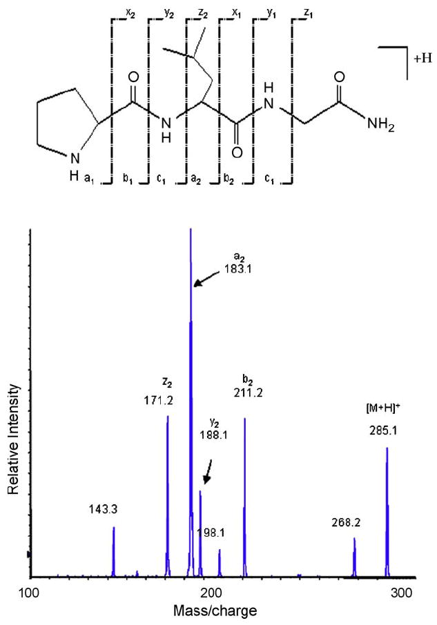 Fig. 2