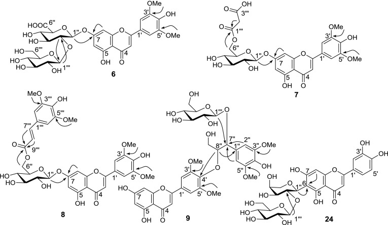 Fig. 2