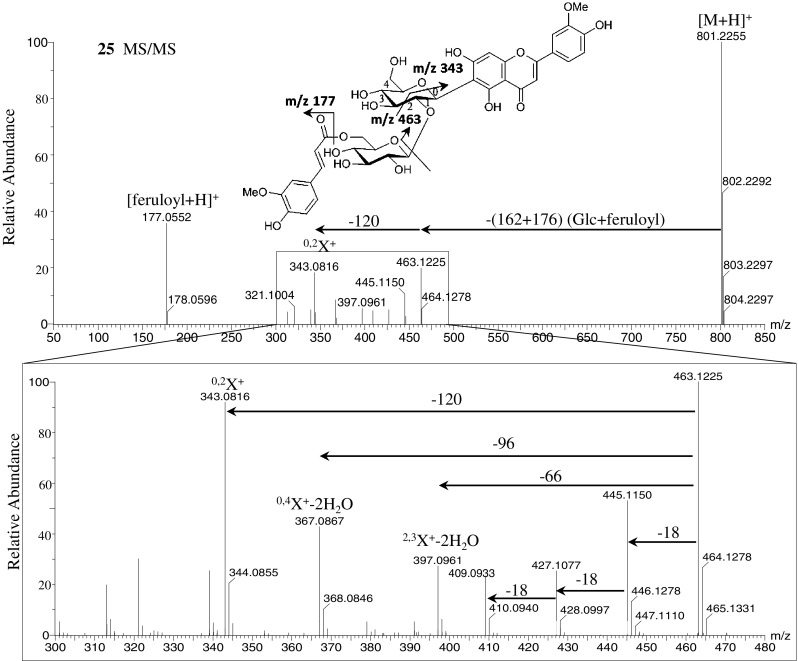 Fig. 4