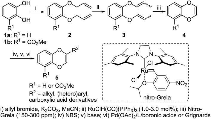 Scheme 1