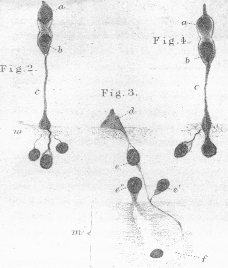 Fig. 2-4