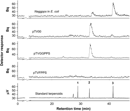 Figure 3.