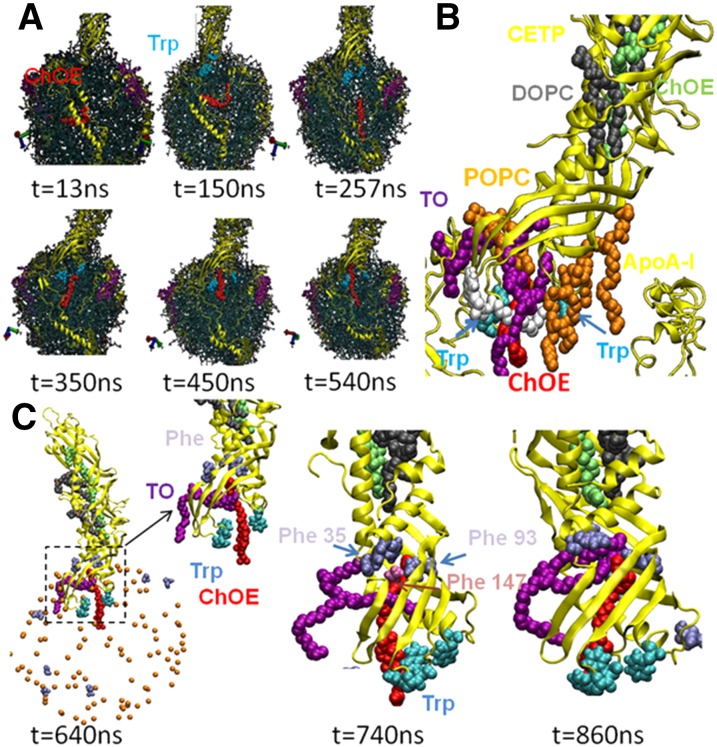 Fig. 12.