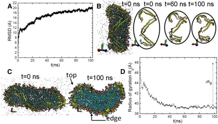 Fig. 2.