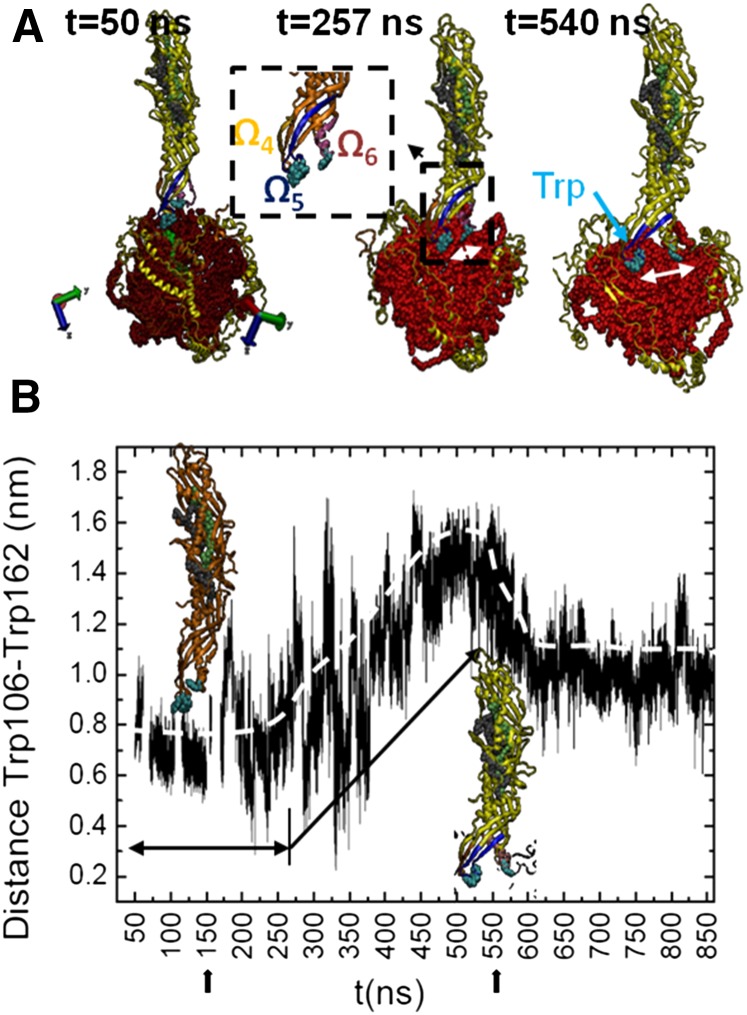 Fig. 11.