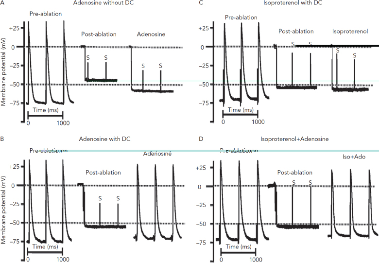 Figure 2: