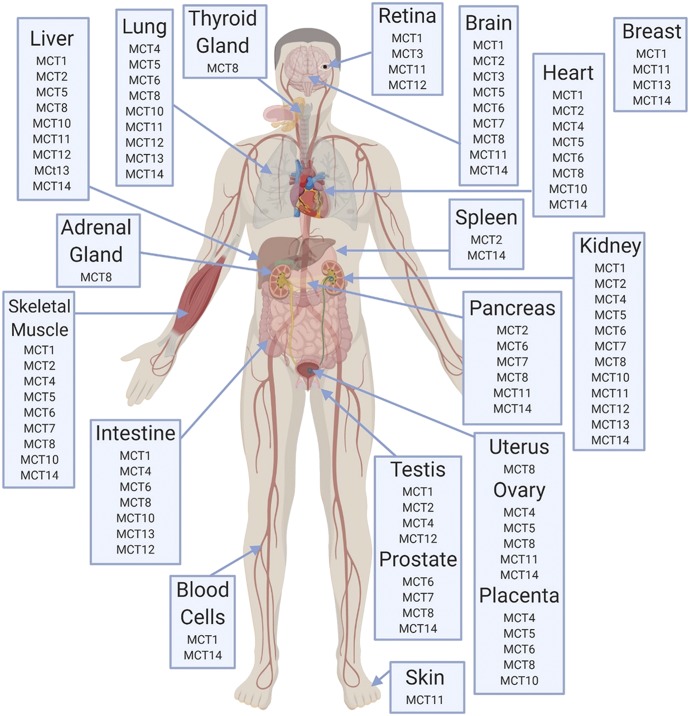 Fig. 3.