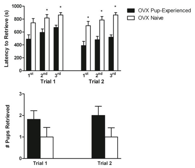 Figure 7