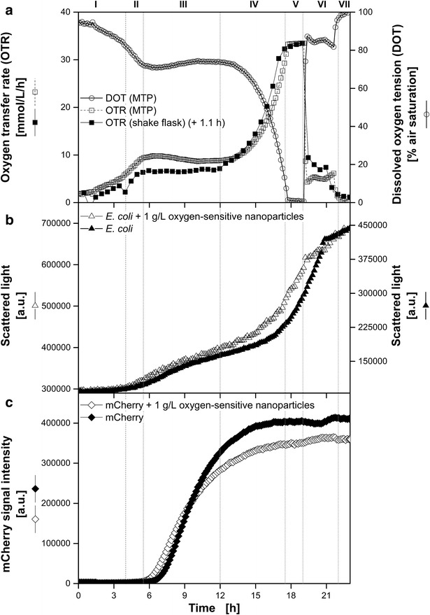 Fig. 6