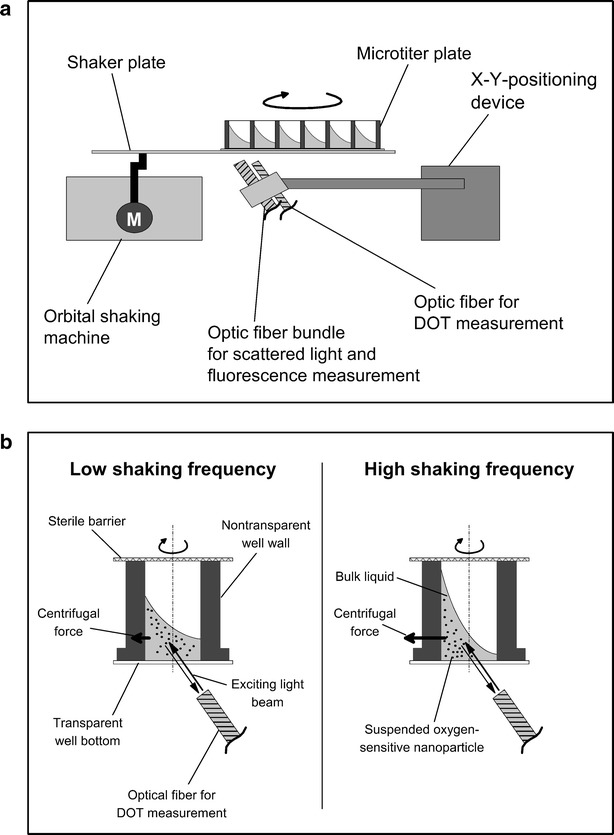 Fig. 1